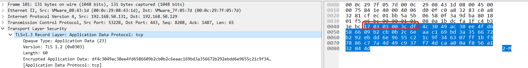 FakeTLS恶意加密流量分析