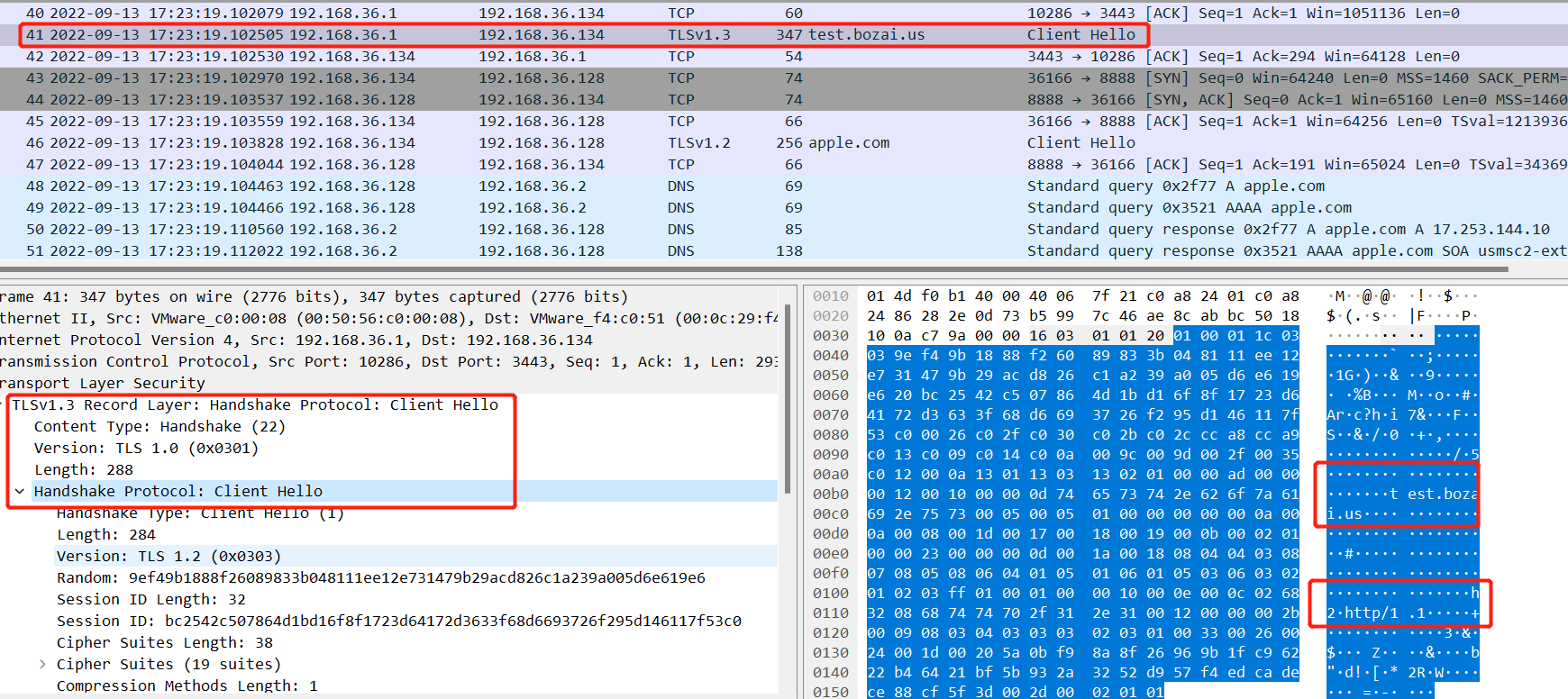 【观成科技】Shadow-TLS隐蔽加密通道工具技术分析