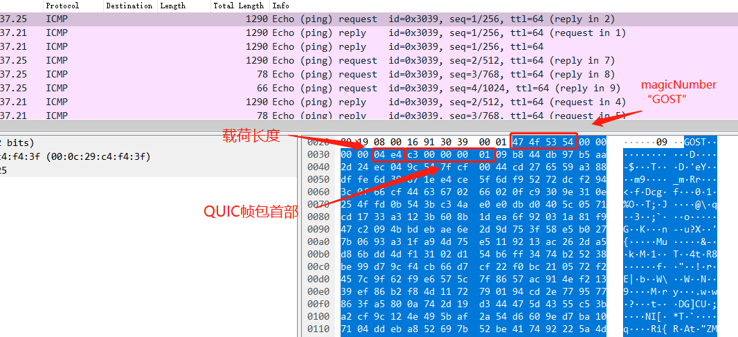基于Gost工具的ICMP隐蔽隧道通信分析